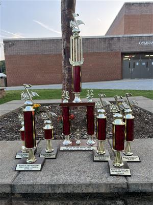 Picture of Trophies